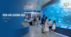 Tour Sơn Đừng - Vịnh Vân Phong 3 Ngày 3 Đêm Cho Nhóm Riêng Từ TpHCM