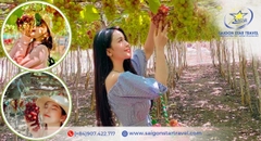 Tour Ninh Chữ Bình Hưng 3 Ngày 2 Đêm Trọn Gói Từ TpHCM | Cano, Zip Tour, Tôm Hùm