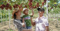 Tour Đảo Bình Hưng Lễ 2/9 [2N2Đ]