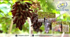 Tour Tây Ninh 2 Ngày 1 Đêm Từ TPHCM | Núi Bà Đen - Tòa Thánh Cao Đài