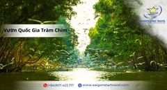 Tour Miền Tây Mùa Nước Nổi 3 Ngày 2 Đêm | Đồng Tháp – Tràm Chim – Trà Sư – Châu Đốc