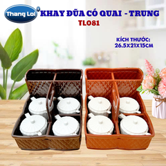 Khay Đựng Đũa Muỗng Nhà Hàng Quán Ăn Có Quai Kèm Khay Gia Vị Size Trung TL081