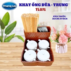 Khay Đựng Đũa Muỗng Nhà Hàng Quán Ăn Kèm Khay Gia Vị Size Trung TL071