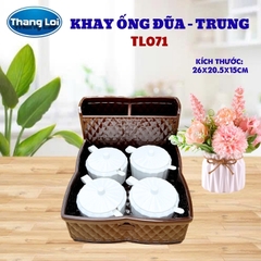 Khay Đựng Đũa Muỗng Nhà Hàng Quán Ăn Kèm Khay Gia Vị Size Trung TL071