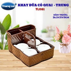 Khay Đựng Đũa Muỗng Nhà Hàng Quán Ăn Có Quai Kèm Khay Gia Vị Size Trung TL081