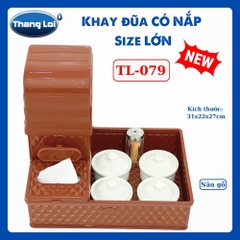 KHAY ĐŨA CÓ NẮP SIZE LỚN TL079