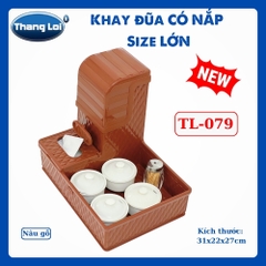KHAY ĐŨA CÓ NẮP SIZE LỚN TL079