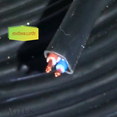 Cáp Điều Khiển ZR-PVC Không Lưới 2x0.5 SQMM Vỏ Đen