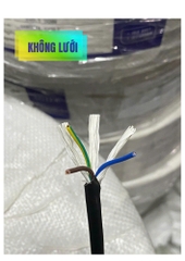 Cáp Điều Khiển ZR-PVC Không Lưới Vỏ Đen 3x0.5 SQMM
