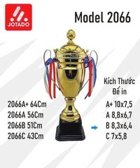 Cúp Thể Thao Domin 2402