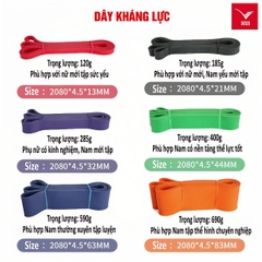 Dây kháng lực GYM Power band cao su đàn hồi thể thao đa năng, tập toàn thân, tập tay, chân, đùi mông vai