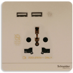 Bộ Ổ Cắm Đa Năng Và Sạc USB Đôi Màu Vàng Ánh Kim Schneider AvatarOn Mã E8342616USB_WG_G19