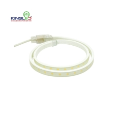 Đèn kingLED dây   12W m  EC LD 12 2835