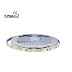 Đèn KINGLed Dán DC12V  12W  1 CUỘN 5 MÉT