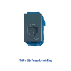 Ổ cắm mạng CAT5E Panasonic WEV2488H - Màu Xám Ánh Kim