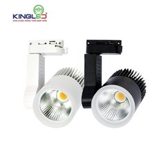 Đèn KingLed Rọi Ray 30W Beryl Kích Thước 90x135x210mm  DTL-30SS