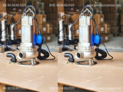 Bơm chìm thải Inox DWE100M 0.75KW 1HP 220V