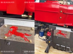 Máy nổ Diesel Chang Chai D20 ZS1110 nước