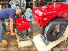 Máy nổ Diesel Chang Chai D20 ZS1110 nước