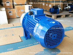 Máy bơm đầu Inox DWO300 2.2KW 3HP 380V