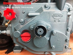 Máy nổ Diesel QuanTrai D8 R180D nước đề