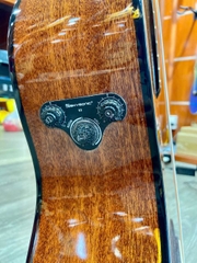 ĐÀN GUITAR CLASSIC DALLAS DL - C300EQ