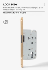 Khoá cửa phòng ngủ đồng thau tay gạt phân thể, phong cách RETRO, thương hiệu OLRVLI cao cấp