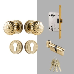 Tay nắm cửa gỗ, khóa cửa phân thể đồng thau cao cấp DR005