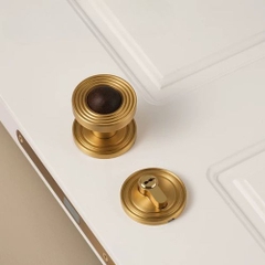 Tay nắm cửa gỗ, khóa cửa phân thể đồng thau cao cấp DR007