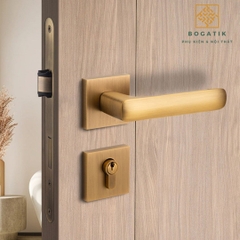 Khóa cửa phòng tách rời, im lặng hoàn toàn bằng đồng sang trọng nhẹ nhàng DTD737