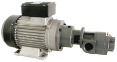 EA-65 – Bơm Bánh Răng Gespasa 2.2 kW | 50–55 lít/phút | 230 VAC | Dầu Nhờn