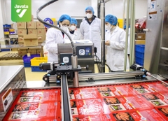 Xúc xích ZoZo Javata Dài 500g (10 Chiếc)