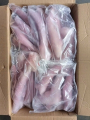 RÂU BẠCH TUỘC ĐÔNG LẠNH NHẬP KHẨU (FROZEN OCTOPUS LEGS) – TÚI 1KG