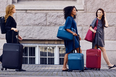 Túi Tote Thule Spira Vertical (Đỏ Rio)