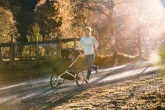 Xe đẩy em bé Thule Glide 2