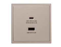 Module Ổ cắm sạc USB (5V 2.4A) + Sạc Type C (45W) màu sâm panh I7 70E727-46