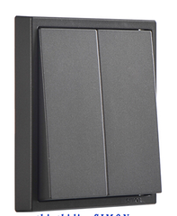Module nút nhấn nhả đôi màu xám Simon I7 701021F-61 mặt vuông