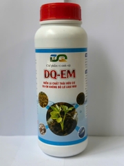 DQ-EM