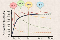 Kỹ Thuật Lặp Ngắt Quãng - Bí Quyết Ghi Nhớ Hiệu Quả