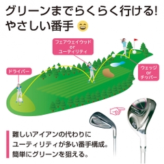 TIGORA Club Set Under100 Ladies Club Set with Caddy Bag Buyer Recommended