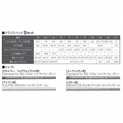 BRIDGESTONE GOLF Club Set BSG BG-100 Club Set