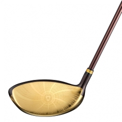 MAJESTY driver PRESTIGIO13