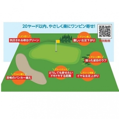 kasco wedge DRW-119 Dolphin Running Nippon Shaft Dolphin Original Shaft 39ﾟ 0ﾟ