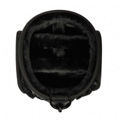 BRIEFING Caddy Bag CR-6 #03 LC HOL BRG253D41