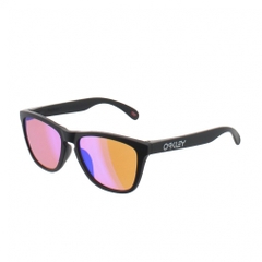 OAKLEY Sunglasses Frogskins 9245E454