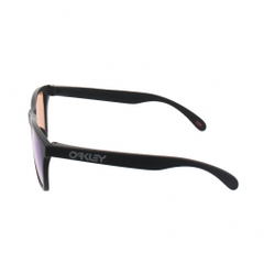 OAKLEY Sunglasses Frogskins 9245E454