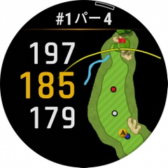 GARMIN Approach Z30 0100295010