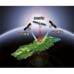 Shot Navi Crest 2 Black