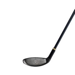 MAJESTY hybrid / utility Royale 2025 LV560B