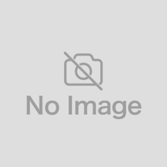 [Gậy golf cũ] Honma Gậy sắt lẻ (iron club) BERES NX SW R VIZARD FOR NX 45